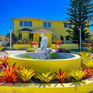 Bed & Breakfast Golden Palms House